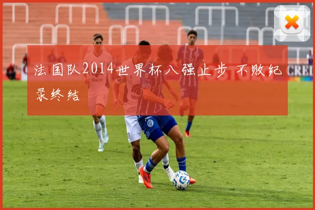 法国队2014世界杯八强止步 不败纪录终结