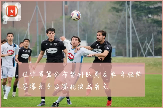 辽宁男篮公布替补队员名单 年轻阵容曝光季后赛轮换成看点