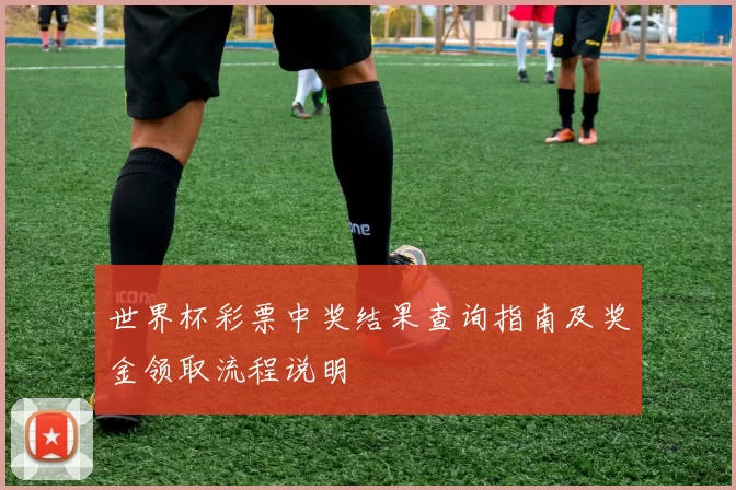世界杯彩票中奖结果查询指南及奖金领取流程说明