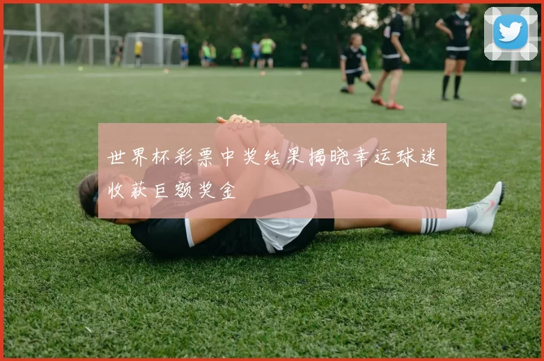 世界杯彩票中奖结果揭晓幸运球迷收获巨额奖金